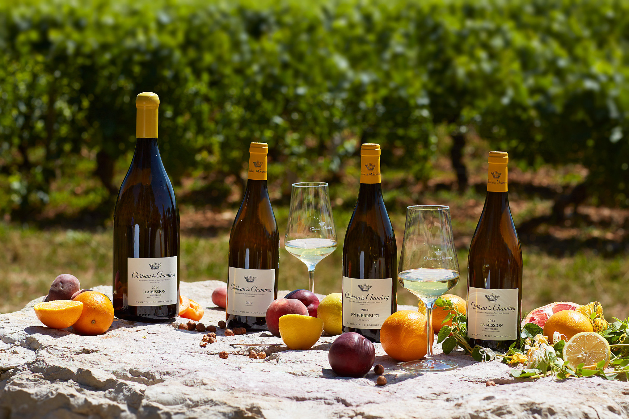 Château de Chamirey - les Mercurey blancs